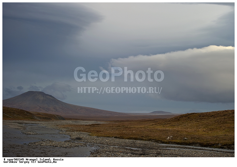 �������, ��������, ���������, �����, ���������, ��������� ���������� �����, ��������� ��, ��������-��������� ����, ��������� ����, �������, ������ ��������, ����������, ��������, ����������, ������, �������