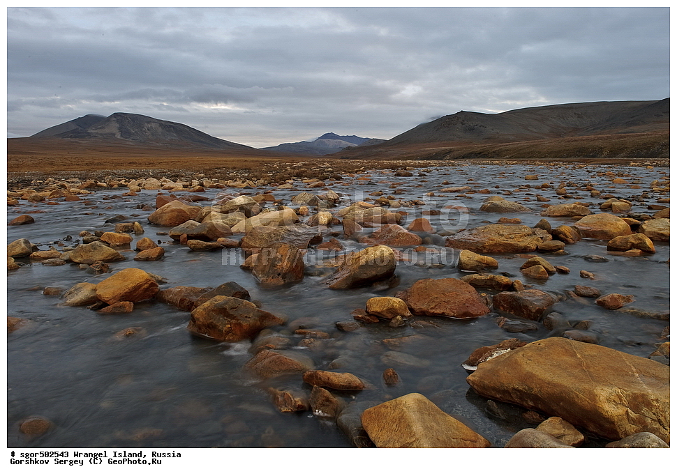 �������, ��������, ���������, �����, ���������, ��������� ���������� �����, ��������� ��, ��������-��������� ����, ��������� ����, �������, ������ ��������, ����������, ��������, ����������, ������, �������