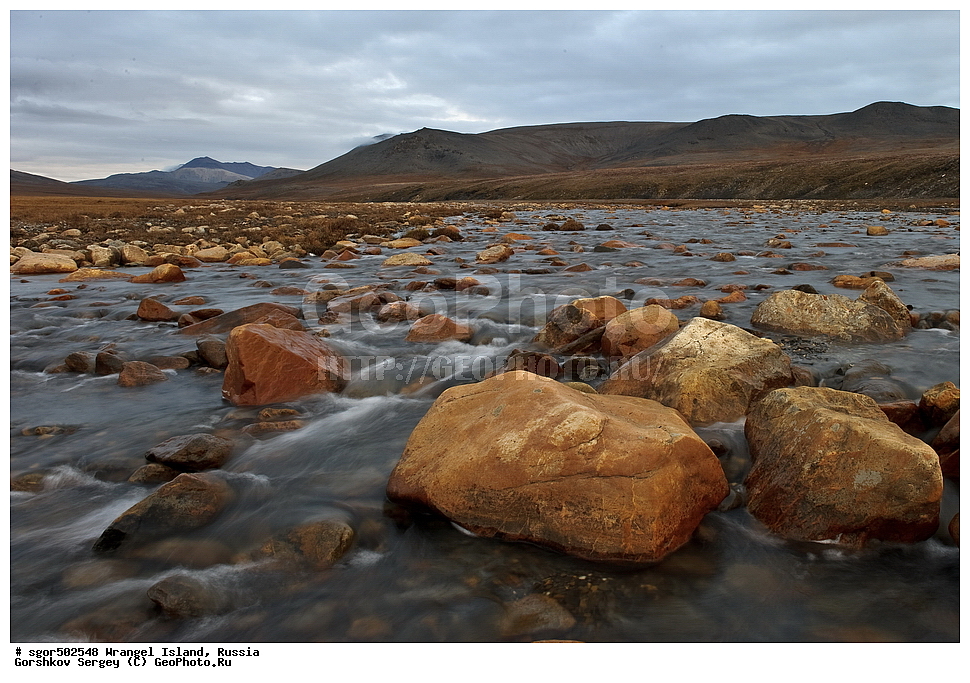 �������, ��������, ���������, �����, ���������, ��������� ���������� �����, ��������� ��, ��������-��������� ����, ��������� ����, �������, ������ ��������, ����������, ��������, ����������, ������, �������