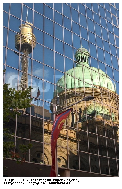 ���������, ������, ���������, �����������