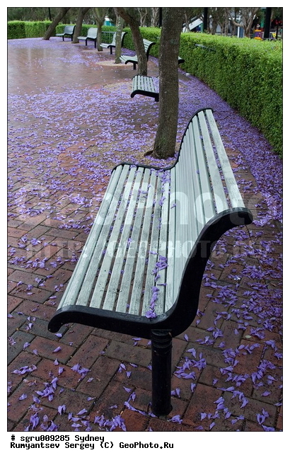 ���������, ������, �����, �����, �������, �������� ������, ����, ��������, ��������