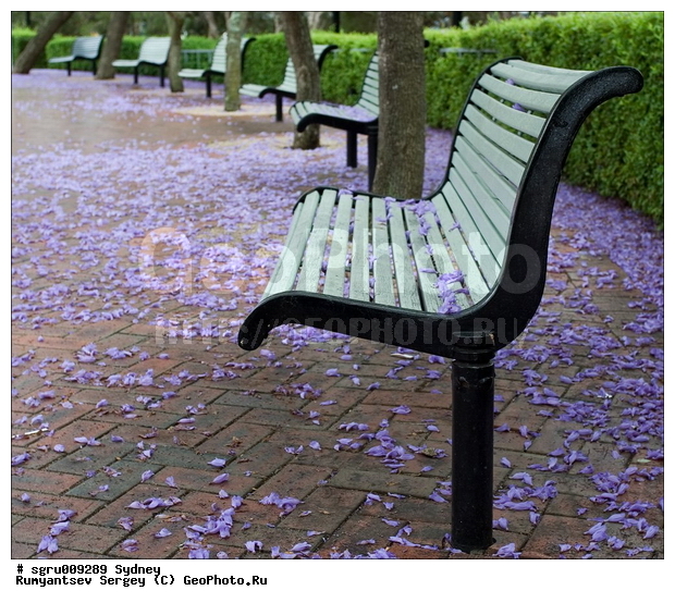 ���������, ������, �����, �����, �������, �������� ������, ����, ��������, ��������