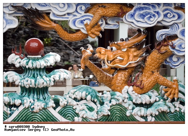 ���������, ������, �����