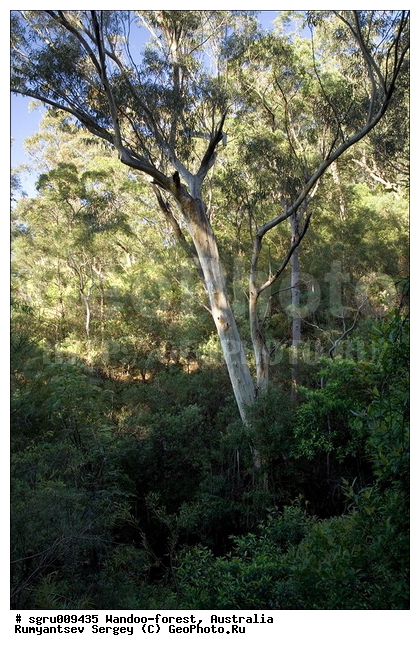 ���������, ������� ����, �������, ���, ��������, ��������, ������������ ���