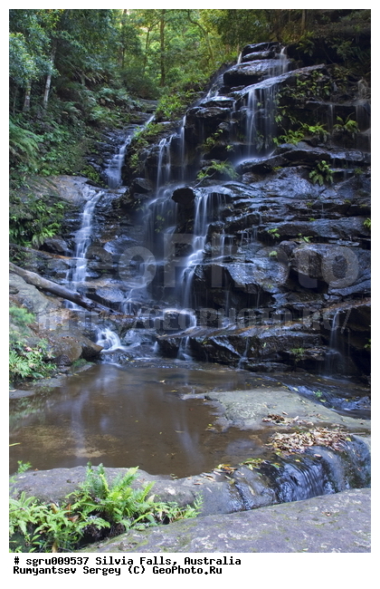 ���������, ������� ����, �������, �������, ������� �������, ����