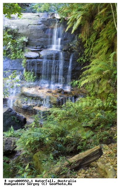 ���������, ������� ����, �������, ����