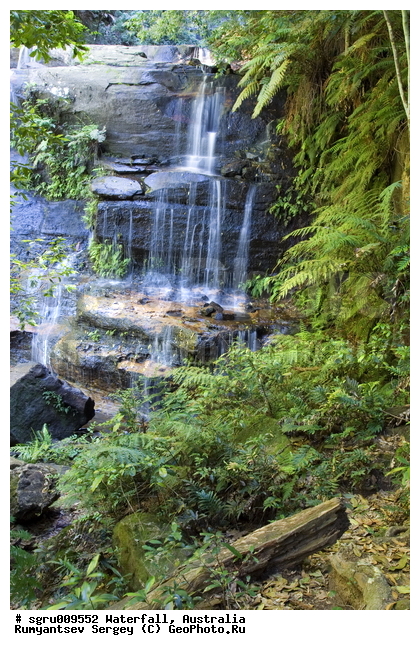 ���������, ������� ����, �������, ����