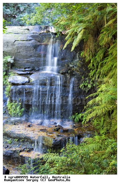 ���������, ������� ����, �������, ����