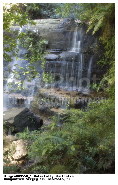 ���������, ������� ����, �������, ����