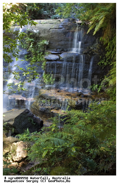 ���������, ������� ����, �������, ����