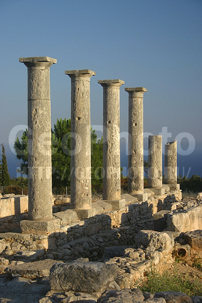 ����, �������, ��������� �����