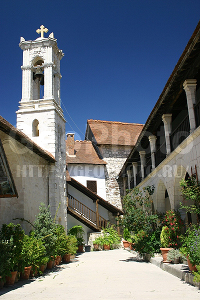 ����, ���������