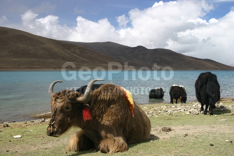 �����, �����, ����, ��������, �����, ��