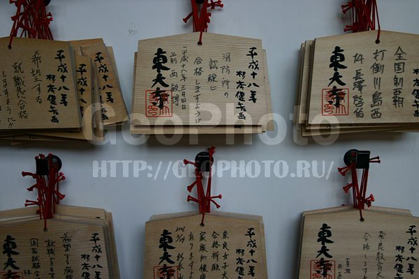 ����, ������, ��������, ��������