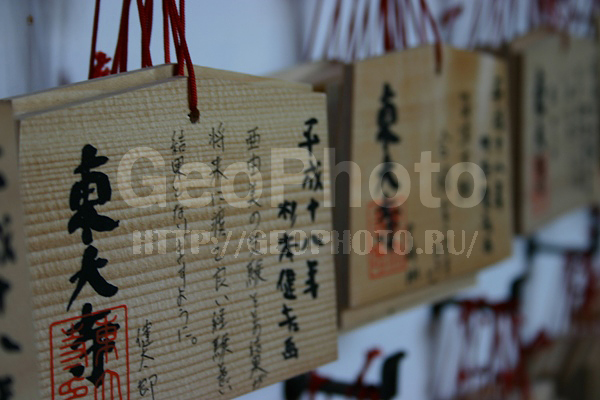 ����, ������, ���������, ��������, ����