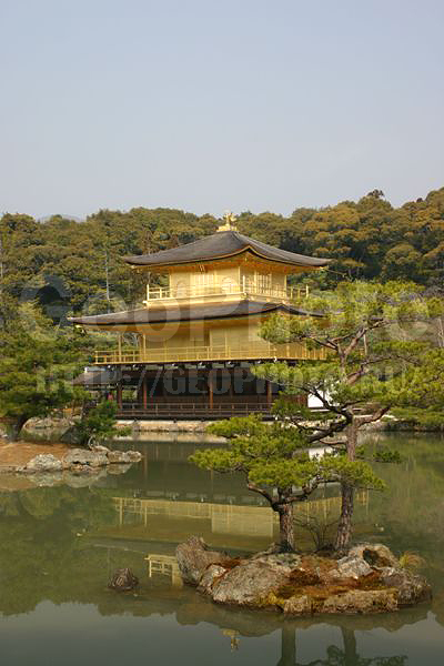 �����, ������, ����, ����