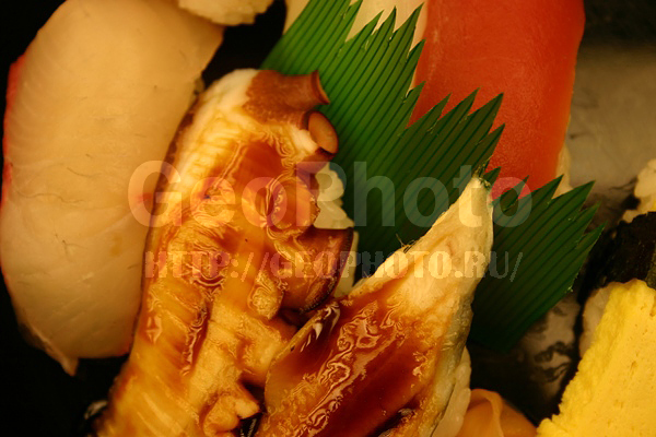 ������, ���, ��������, ����