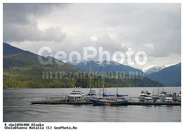 ���������� ��������, ������, ����� ������, ����, ����