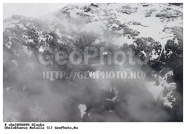 ������, ����, �����