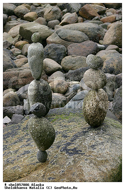 ��������, ������, �������� ���������, ��������, ������, �����, �������