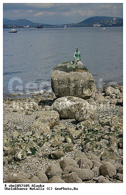 ���������� ��������, ������, ��������� �����, �����, ������, �������