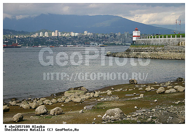 ���������� ��������, ��������, ������, �����, ����