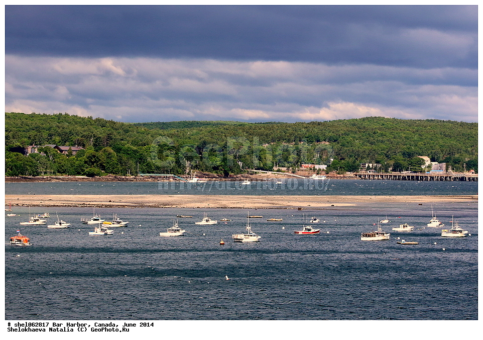 ��� ������, ������, ����, 2014, ����, ���� ������