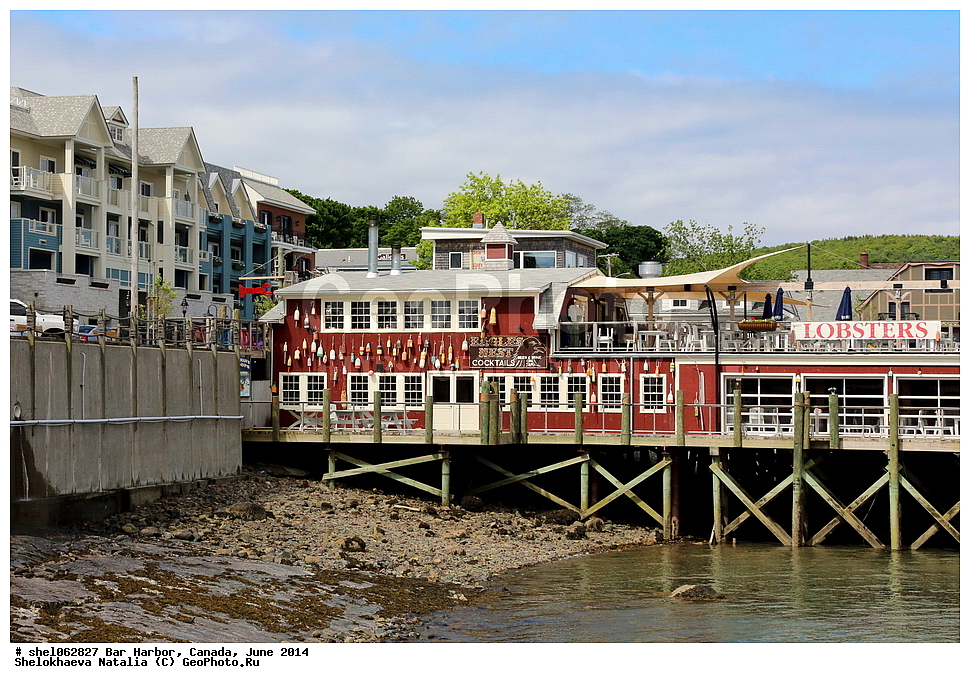 ��� ������, ������, ����, 2014, ����, ���� ������