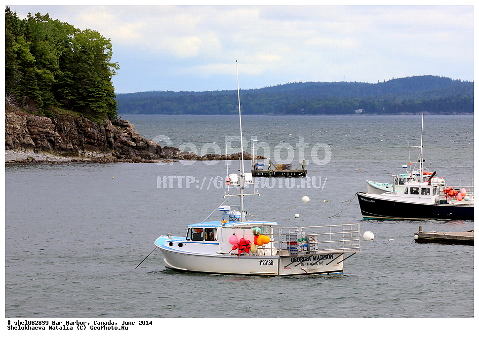 ��� ������, ������, ����, 2014, ����, ���� ������