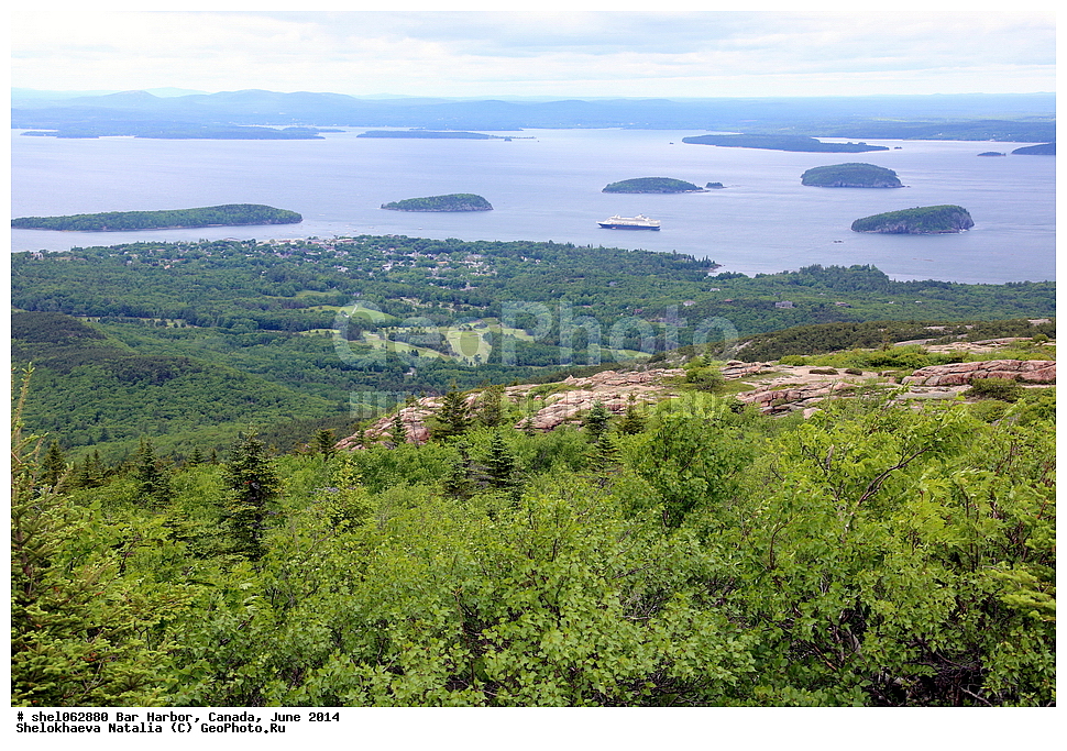 ��� ������, ������, ����, 2014, ����, ���� ������