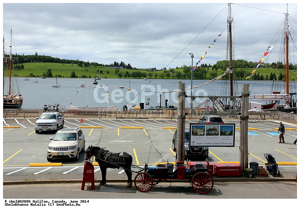 ��������, ������, ����, 2014, ����, ���� ������