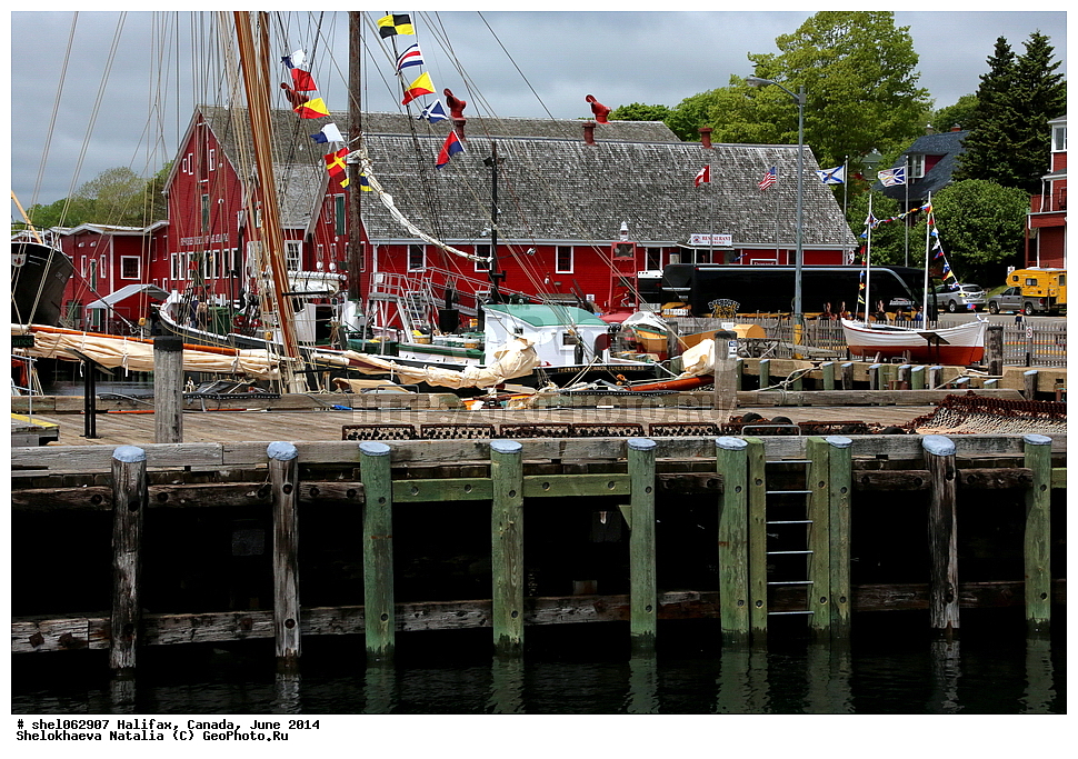 ��������, ������, ����, 2014, ����, ���� ������