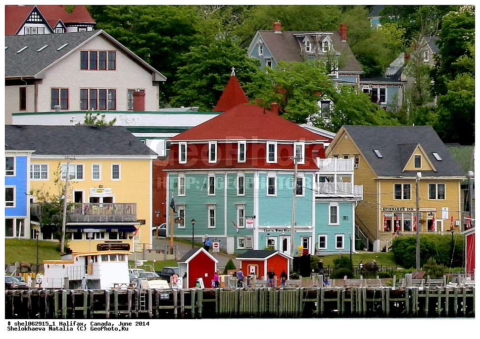 ��������, ������, ����, 2014, ����, ���� ������