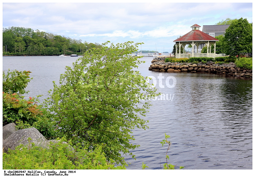 ��������, ������, ����, 2014, ����, ���� ������