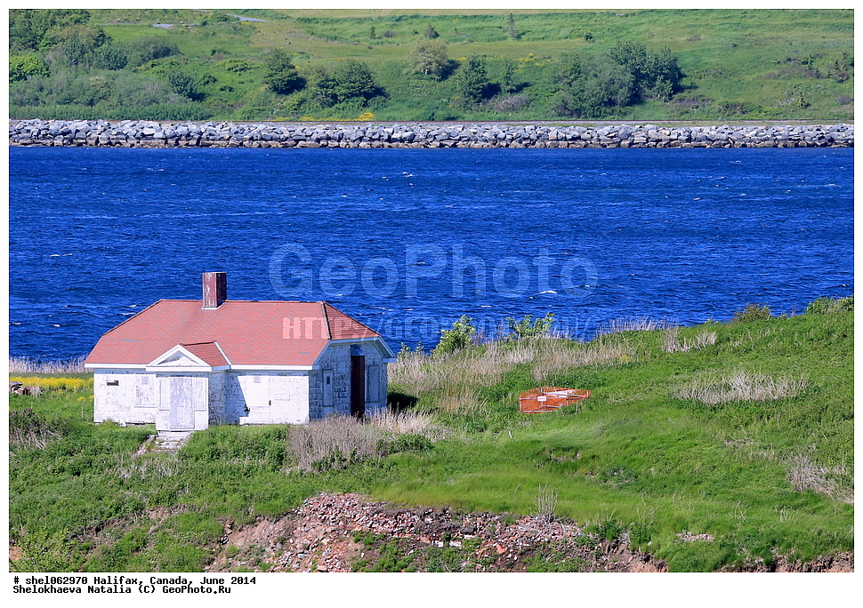 ��������, ������, ����, 2014, ����, ���� ������