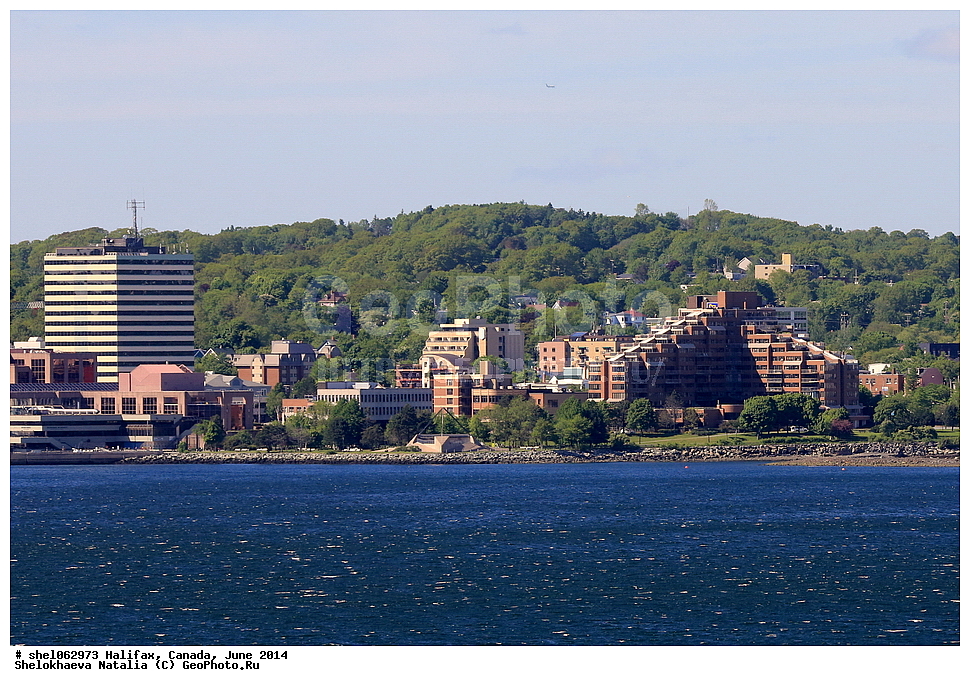 ��������, ������, ����, 2014, ����, ���� ������