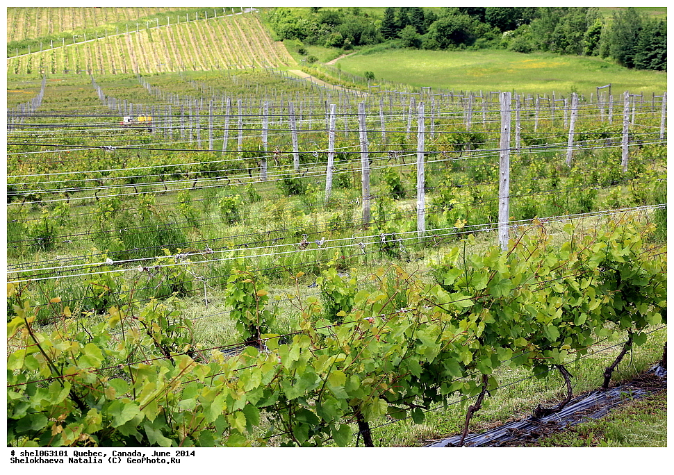 ������, ������, ����, 2014, ����, ���� ������