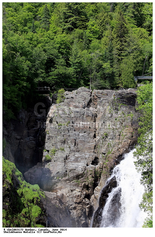 ������, ������, ����, 2014, ����, ���� ������