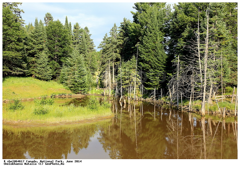 ������, ������������ ����, ���� 2014, �����