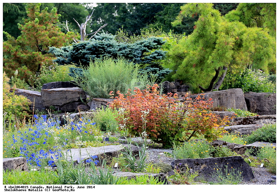 ������, ������������ ����, ���� 2014, �����