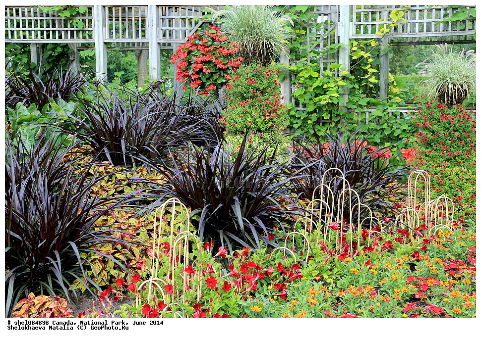 ������, ������������ ����, ���� 2014, �����