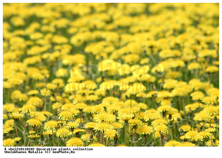 �짷�째�짾��ѡ�ӡ짳��ա짼�짵�����ߡ째, ��ԡ짳�짷��ѡ짵��ߡ째, ��ա째�짾��ԡ�ա�֡�ӡ짳, ��ء�ѡ��, ��ء짳�짾��ա�֡�ӡ짳, ��ڡ짵�째��ԡ�ա짼, ��ڡ짵�째��ա�ѡ짾, ��ڡ짵�째��ա��, ��ڡ짵�째��ա째����짼�째, �첡짳��ԡ�ա째����짼���