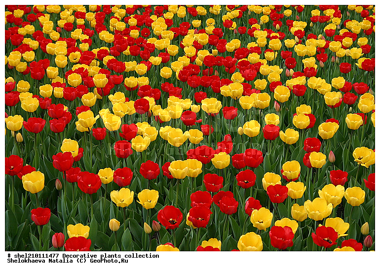 �짷�째�짾��ѡ�ӡ짳��ա짼�짵�����ߡ째, �짷�째�짾�짳��ӡ짳��ա짼�짵�����ߡ째 ��ӡ짳��ԡ�ա째����짼���, ��ӡ짳��ԡ�ա째����짼���, ��ԡ짳�짷��ѡ짵��ߡ째, ��ա��짿����ҡ짳���, ��ա��짿����ҡ짳������, ��ա째�짾��ԡ�ա�֡�ӡ짳, ��ء�ѡ��, ��ء짳�짾��ա�֡�ӡ짳, ��ڡ짵�째��ԡ�ա짼, ��ڡ짵�째��ա�ѡ짾, ��ڡ짵�째��ա��, ��ڡ짵�째��ա째����짼�째, �첡짳��ԡ�ա째����짼���