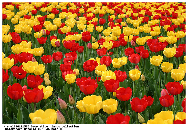 �짷�째�짾��ѡ�ӡ짳��ա짼�짵�����ߡ째, �짷�째�짾�짳��ӡ짳��ա짼�짵�����ߡ째 ��ӡ짳��ԡ�ա째����짼���, ��ӡ짳��ԡ�ա째����짼���, ��ԡ짳�짷��ѡ짵��ߡ째, ��ա��짿����ҡ짳���, ��ա��짿����ҡ짳������, ��ա째�짾��ԡ�ա�֡�ӡ짳, ��ء�ѡ��, ��ء짳�짾��ա�֡�ӡ짳, ��ڡ짵�째��ԡ�ա짼, ��ڡ짵�째��ա�ѡ짾, ��ڡ짵�째��ա��, ��ڡ짵�째��ա째����짼�째, �첡짳��ԡ�ա째����짼���