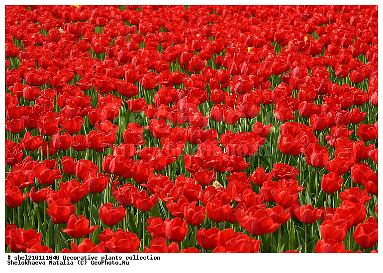 �짷�째�짾��ѡ�ӡ짳��ա짼�짵�����ߡ째, �짷�째�짾�짳��ӡ짳��ա짼�짵�����ߡ째 ��ӡ짳��ԡ�ա째����짼���, ��ӡ짳��ԡ�ա째����짼���, ��ԡ짳�짷��ѡ짵��ߡ째, ��ա��짿����ҡ짳���, ��ա��짿����ҡ짳������, ��ա째�짾��ԡ�ա�֡�ӡ짳, ��ء�ѡ��, ��ء짳�짾��ա�֡�ӡ짳, ��ڡ짵�째��ԡ�ա짼, ��ڡ짵�째��ա�ѡ짾, ��ڡ짵�째��ա��, ��ڡ짵�째��ա째����짼�째, �첡짳��ԡ�ա째����짼���