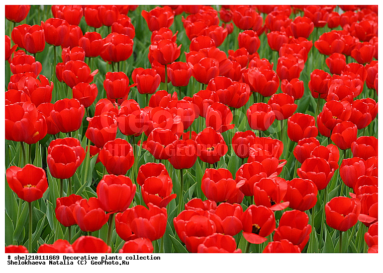 �짷�째�짾��ѡ�ӡ짳��ա짼�짵�����ߡ째, �짷�째�짾�짳��ӡ짳��ա짼�짵�����ߡ째 ��ӡ짳��ԡ�ա째����짼���, ��ӡ짳��ԡ�ա째����짼���, ��ԡ짳�짷��ѡ짵��ߡ째, ��ա��짿����ҡ짳���, ��ա��짿����ҡ짳������, ��ա째�짾��ԡ�ա�֡�ӡ짳, ��ء�ѡ��, ��ء짳�짾��ա�֡�ӡ짳, ��ڡ짵�째��ԡ�ա짼, ��ڡ짵�째��ա�ѡ짾, ��ڡ짵�째��ա��, ��ڡ짵�째��ա째����짼�째, �첡짳��ԡ�ա째����짼���