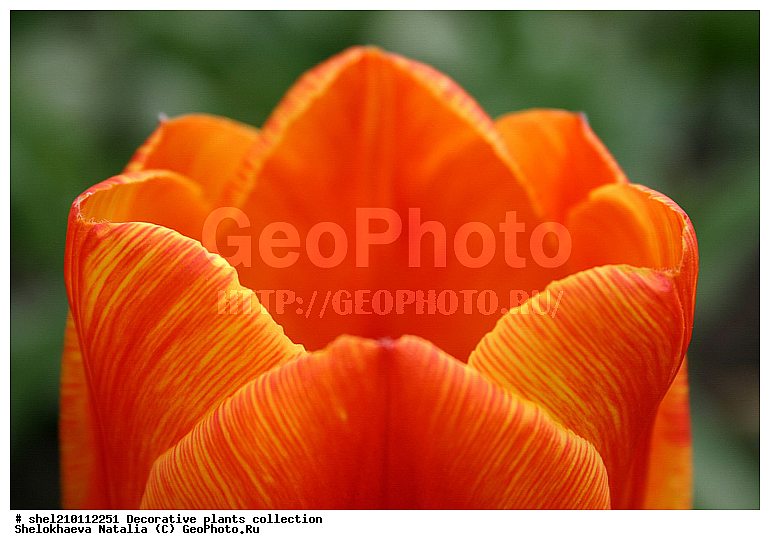 �짷�째�짾��ѡ�ӡ짳��ա짼�짵�����ߡ째, �짷�째�짾�짳��ӡ짳��ա짼�짵�����ߡ째 ��ӡ짳��ԡ�ա째����짼���, ��ӡ짳��ԡ�ա째����짼���, ��ԡ짳�짷��ѡ짵��ߡ째, ��ա��짿����ҡ짳���, ��ա��짿����ҡ짳������, ��ڡ짵�째��ԡ�ա짼, ��ڡ짵�째��ա�ѡ짾, ��ڡ짵�째��ա��, ��ڡ짵�째��ա째����짼�째, �첡짳��ԡ�ա째����짼���