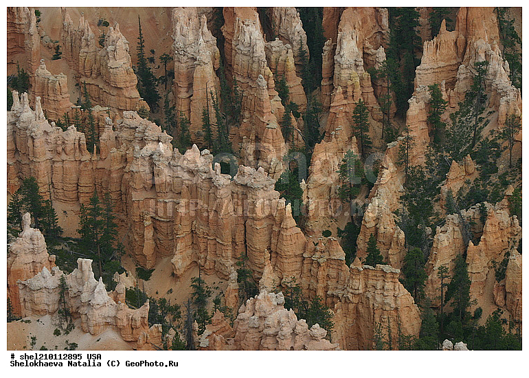 �������, ���, �������� �������