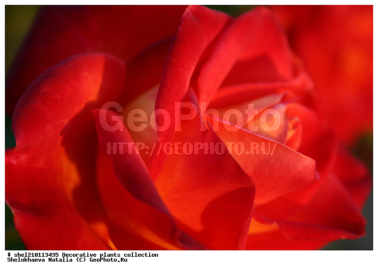 �짷�째�짾��ѡ�ӡ짳��ա짼�짵�����ߡ째, ��ԡ짳�짷��ѡ짵��ߡ째, ��ա째�짾��ԡ�ա�֡�ӡ짳, ��ء�ѡ��, ��ء짳�짾��ա�֡�ӡ짳, ��ڡ짵�째��ԡ�ա짼, ��ڡ짵�째��ա�ѡ짾, ��ڡ짵�째��ա��, ��ڡ짵�째��ա째����짼�째, �첡짳��ԡ�ա째����짼���