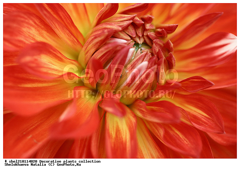 �짷�째�짾��ѡ�ӡ짳��ա짼�짵�����ߡ째, ��ԡ짳�짷��ѡ짵��ߡ째, ��ա째�짾��ԡ�ա�֡�ӡ짳, ��ء�ѡ��, ��ء짳�짾��ա�֡�ӡ짳, ��ڡ짵�째��ԡ�ա짼, ��ڡ짵�째��ա�ѡ짾, ��ڡ짵�째��ա��, ��ڡ짵�째��ա째����짼�째, �첡짳��ԡ�ա째����짼���